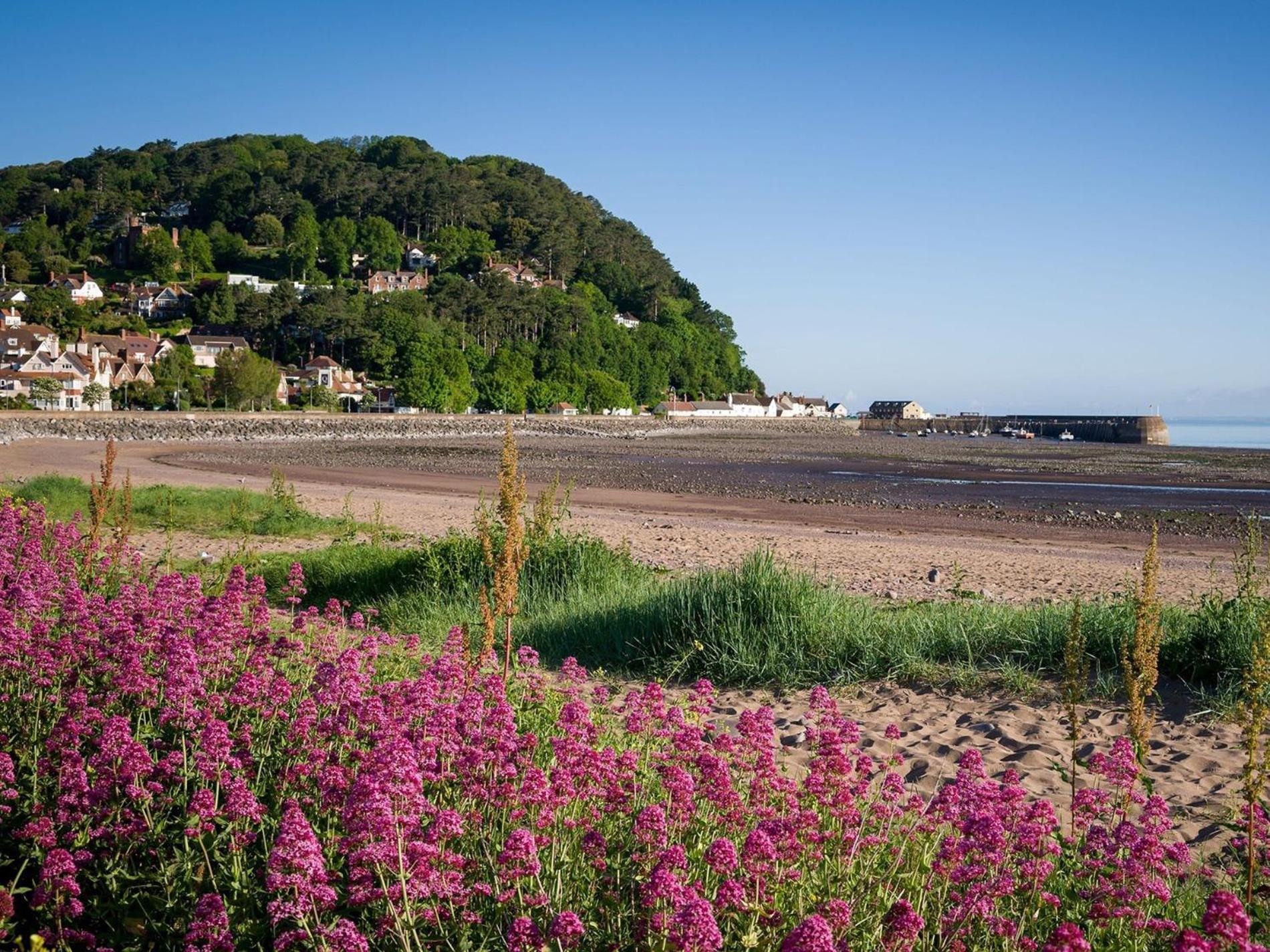 Вилла 1 Bed In Minehead 90923 Экстерьер фото